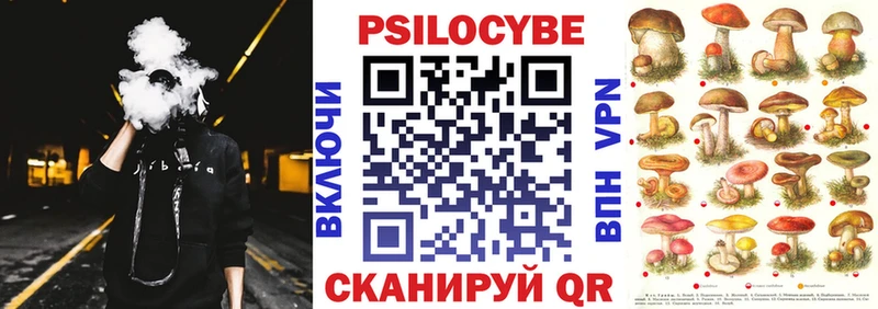 Галлюциногенные грибы MAGIC MUSHROOMS  мориарти клад  Торопец 